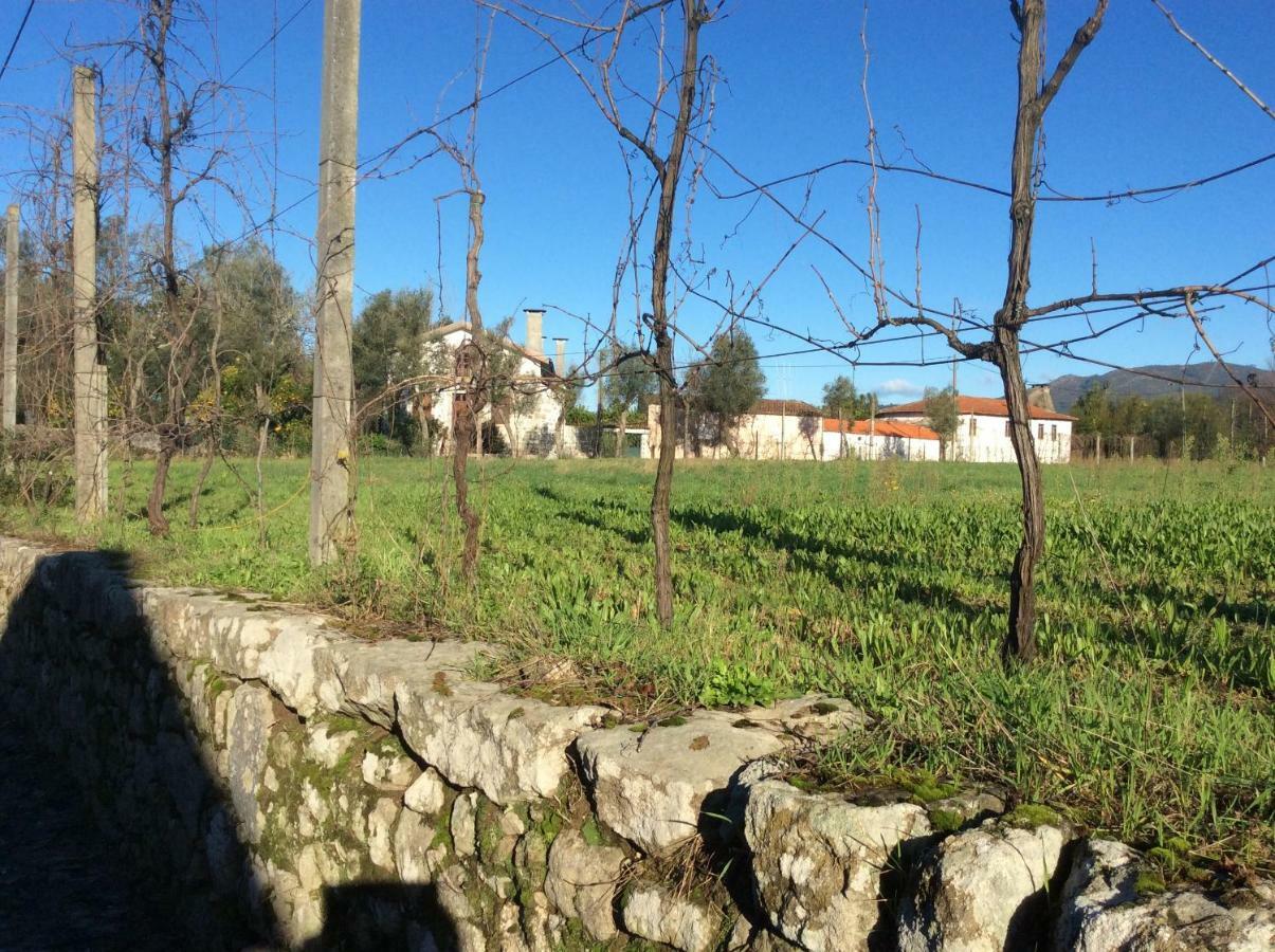 לינה וארוחת בוקר Crespos Quinta De Areias מראה חיצוני תמונה