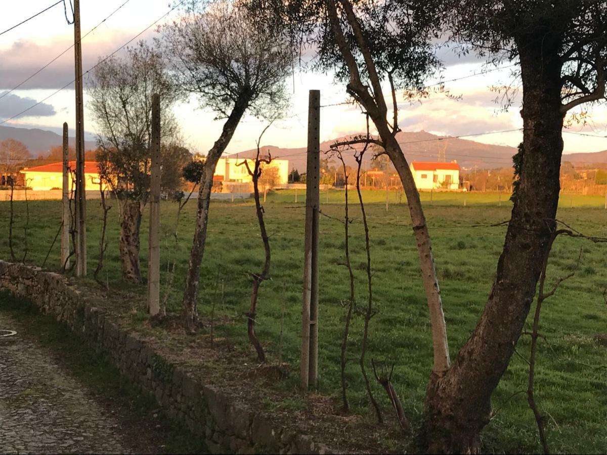 לינה וארוחת בוקר Crespos Quinta De Areias מראה חיצוני תמונה